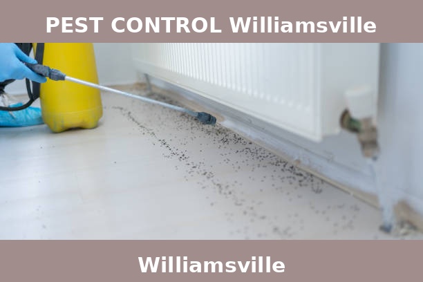PEST CONTROL Williamsville